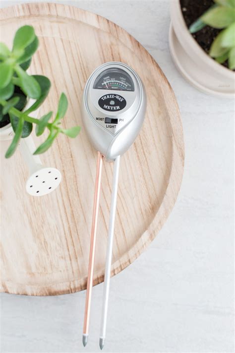 moisture meter for monstera|best monstera moisture meter.